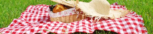 Spring/Summer Picnic Hamper Recipe