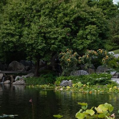 Chinese Garden function Venues Sydney