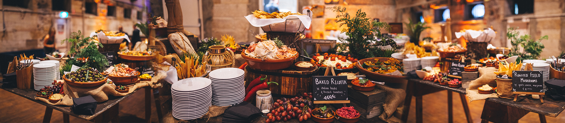 Forte Banner - Gallery